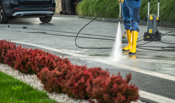 Best Commercial Building Pressure Washing  in Pecan Acres, TX